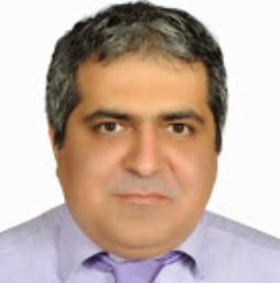 Prof. Kumars Rouzbehi