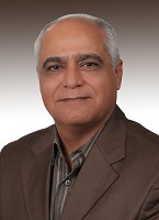 Prof. Shahram Jadid