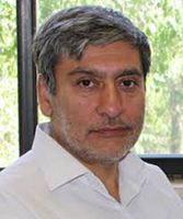 Prof. Mohammad Esmail Hamedani Golshan